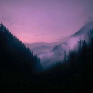 Meet your Posher, Noah